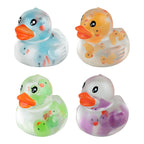 Four colorful squishy duck toys on a white background
