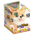 SmushWorld Corgi