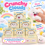 Crunchy Clouds (with Emotional Faces) Squishy