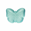 Teal Butterfly Squishy